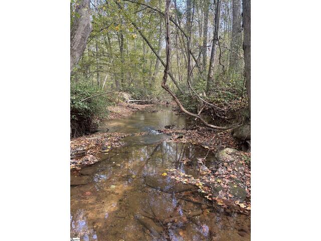 Photo of Motlow Creek Road