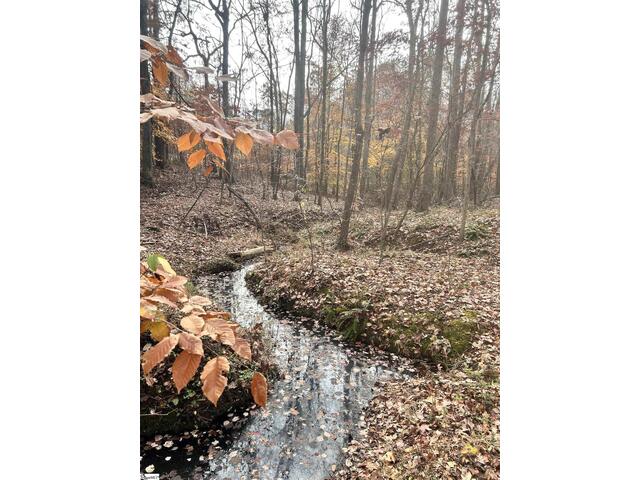 Photo of 00 Harris Springs Road