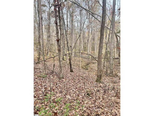 Photo of 00 Harris Springs Road