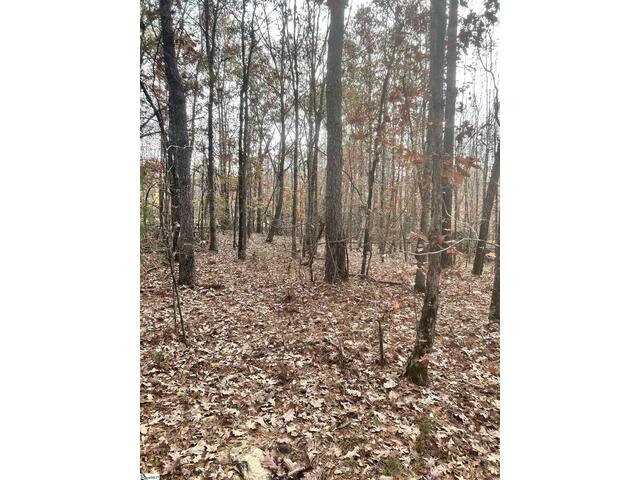 Photo of 00 Harris Springs Road