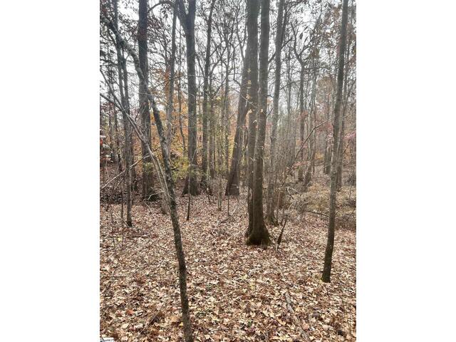 Photo of 00 Harris Springs Road