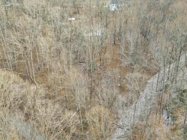 Photo of 33 Forest Drive