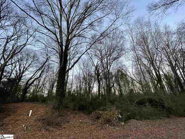 Photo of 00 Mr Jim Lane