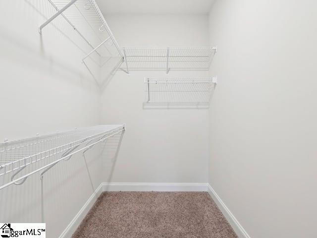 Photo of 4 River Fork Trail