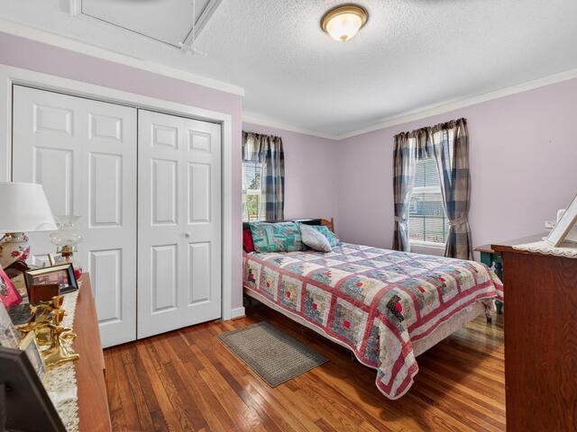 Photo of 4 Caren Street