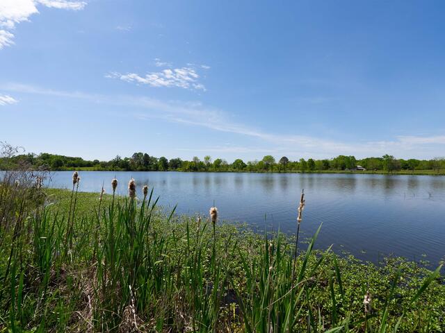 Photo of 402 Nanaloo Avenue