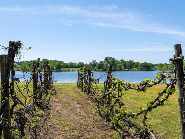 Photo of 402 Nanaloo A Avenue