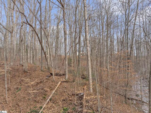 Photo of 35 Forest Drive