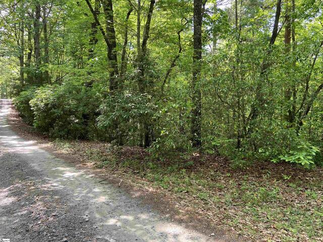 Photo of 101 Cherokee Hills Trail