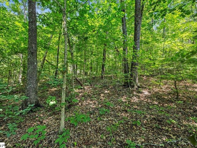 Photo of 14 Alsace Way