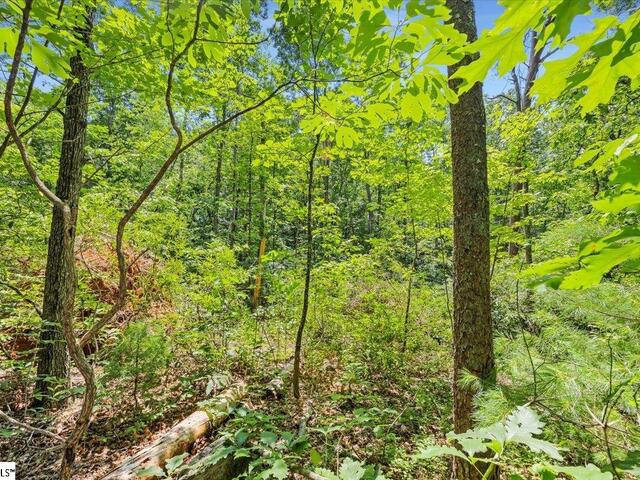 Photo of 14 Alsace Way