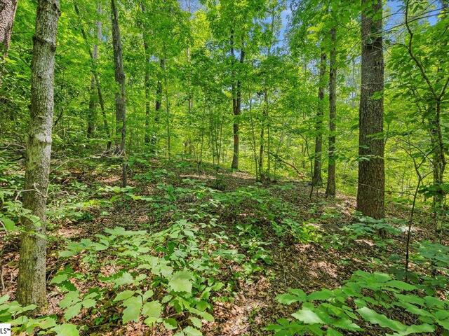 Photo of 14 Alsace Way