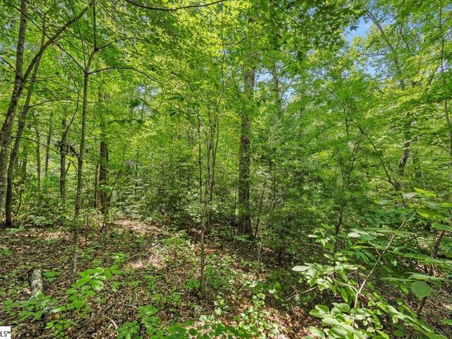 Photo of 14 Alsace Way