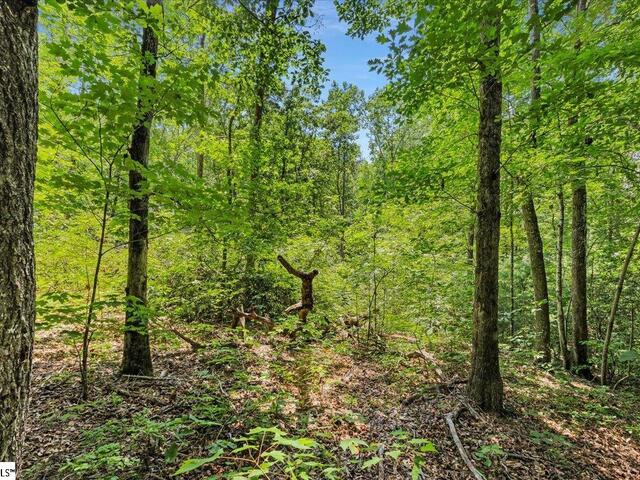 Photo of 14 Alsace Way