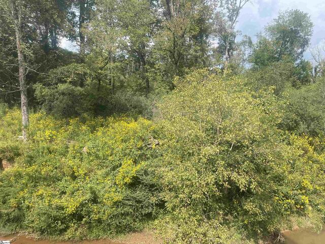 Photo of 183 Walhalla Highway Photo of 183 Walhalla Highway