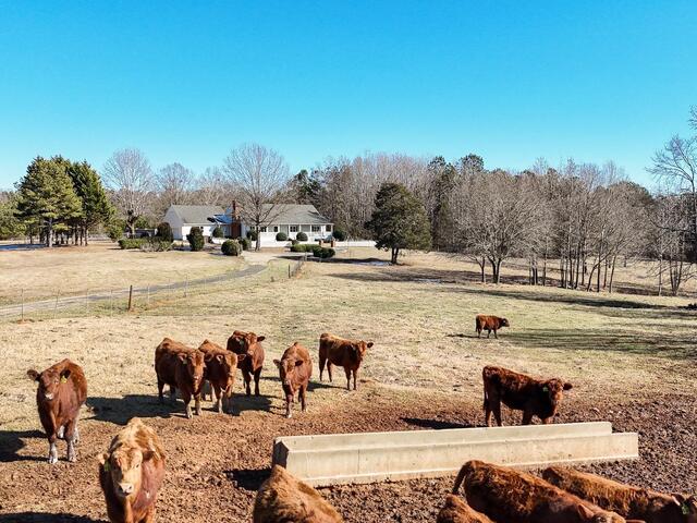 Photo of 414 Giggle Drive