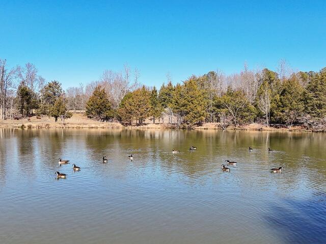 Photo of 414 Giggle Drive