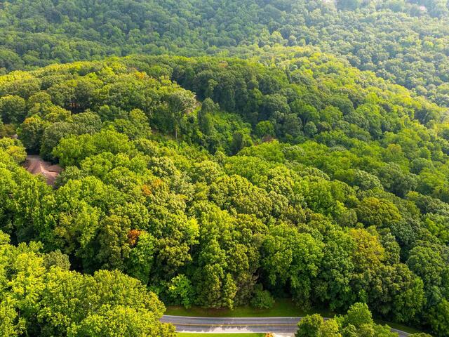 Photo of 0 Plumley Summit Road