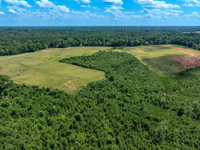 Photo of 1147 Mount Vernon Church Road