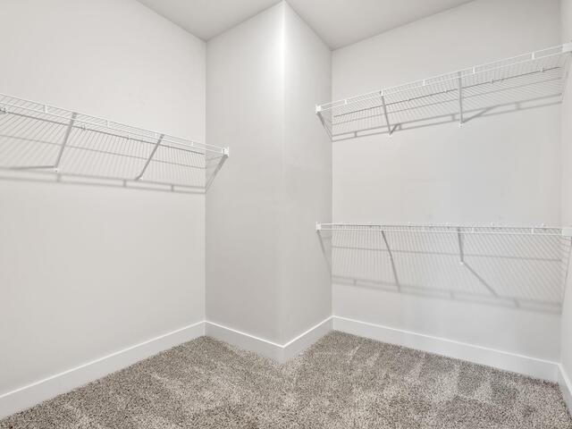 Photo of 303 Garrison Grove Drive