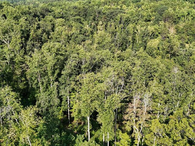 Photo of 502 Chinquapin Road