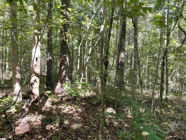 Photo of 111 Chauga Shoals Drive Photo of 111 Chauga Shoals Drive