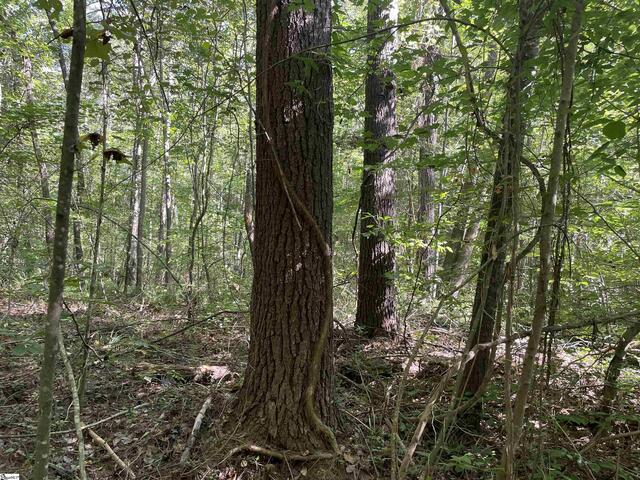 Photo of 111 Chauga Shoals Drive Photo of 111 Chauga Shoals Drive