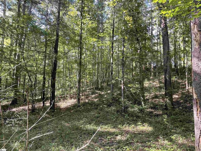 Photo of 111 Chauga Shoals Drive Photo of 111 Chauga Shoals Drive