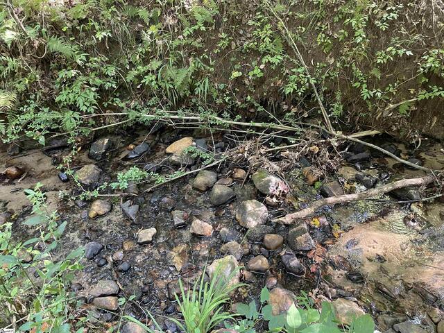 Photo of 111 Chauga Shoals Drive Photo of 111 Chauga Shoals Drive