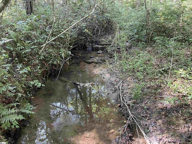 Photo of 111 Chauga Shoals Drive Photo of 111 Chauga Shoals Drive