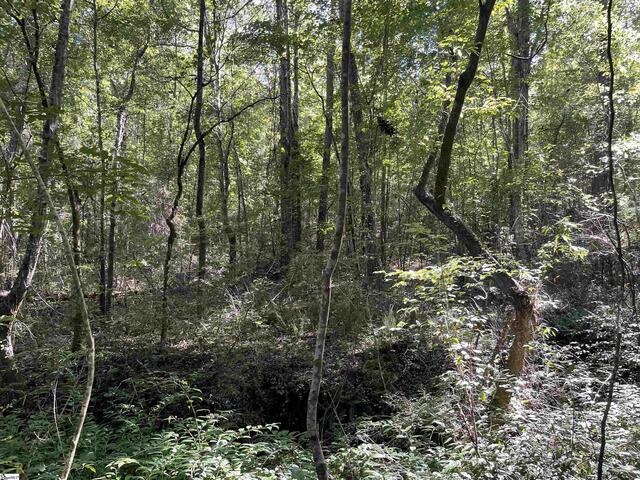 Photo of 111 Chauga Shoals Drive Photo of 111 Chauga Shoals Drive