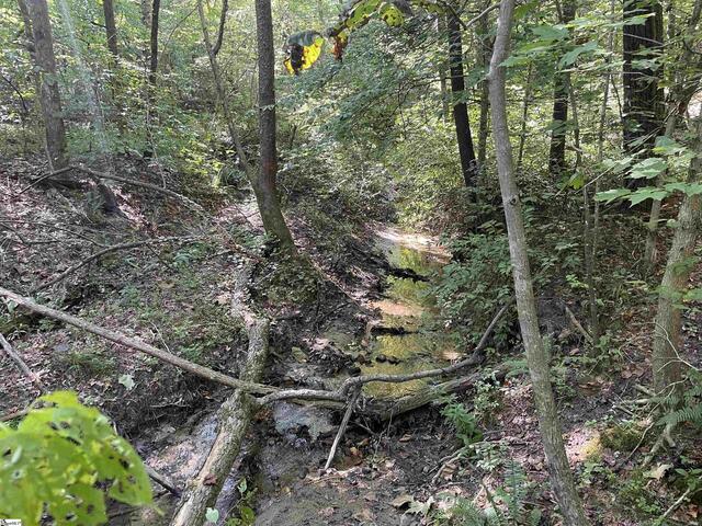 Photo of 111 Chauga Shoals Drive Photo of 111 Chauga Shoals Drive