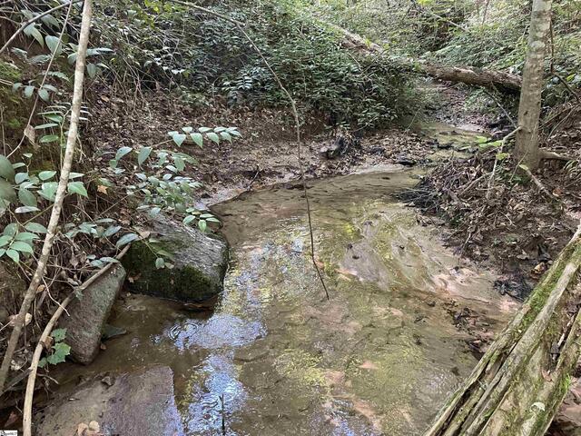 Photo of 111 Chauga Shoals Drive Photo of 111 Chauga Shoals Drive