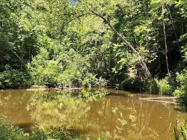 Photo of 146 Glassy Falls Trail