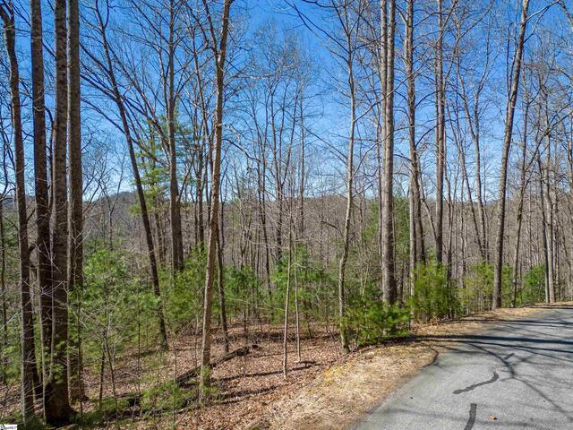 Photo of 132 overlook pa Overlook Park Drive