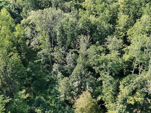 Photo of 504 Chinquapin Road