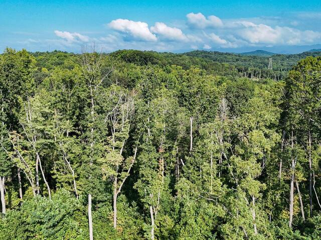 Photo of 504 Chinquapin Road