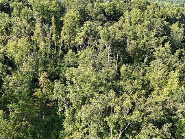 Photo of 504 Chinquapin Road