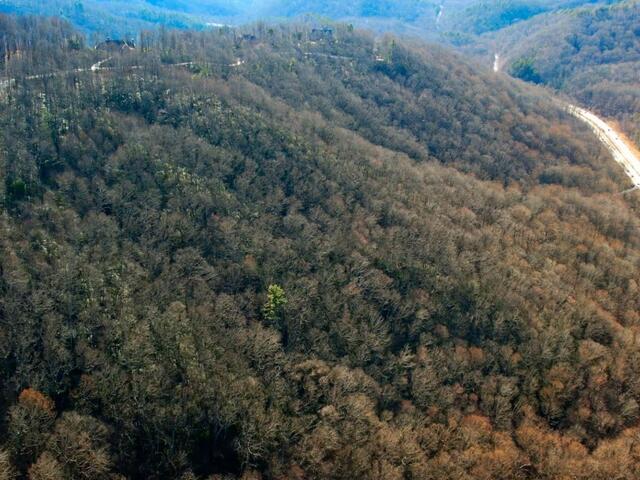 Photo of 10 High Laurel Way