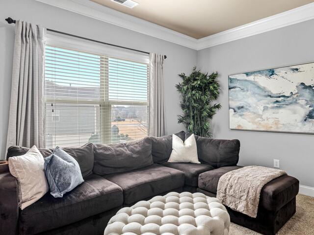 Photo of 225 Tea Olive Place