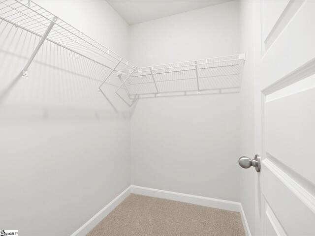 Photo of 310 Hampton George Court