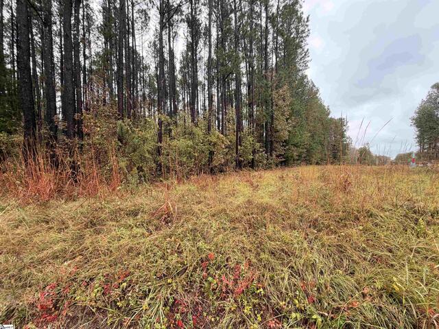 Photo of 00 Beech Springs Road