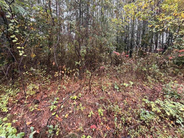 Photo of 00 Beech Springs Road