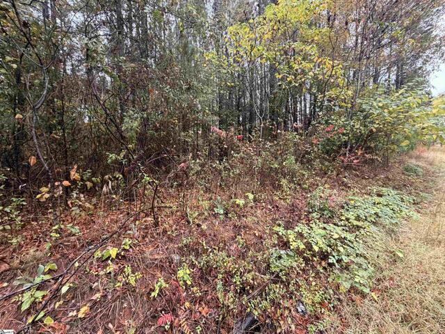 Photo of 00 Beech Springs Road