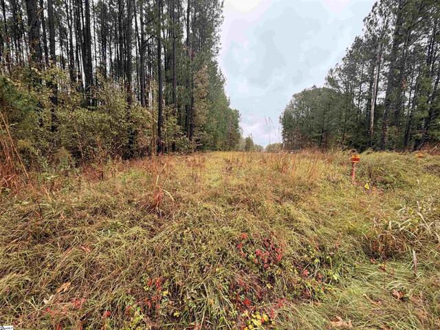 Photo of 00 Beech Springs Road