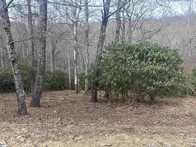 Photo of 24 Blazing Star Trail