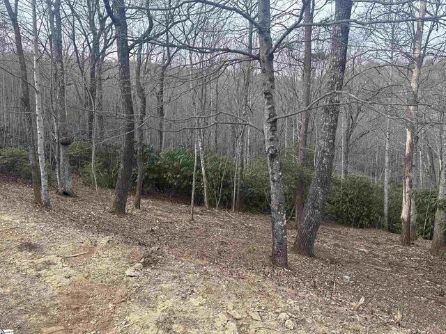 Photo of 24 Blazing Star Trail