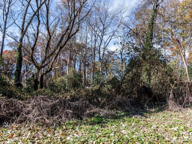 Photo of 00 Elizabeth Street