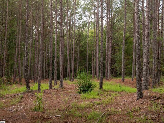 Photo of 02 Neal Shoals Road