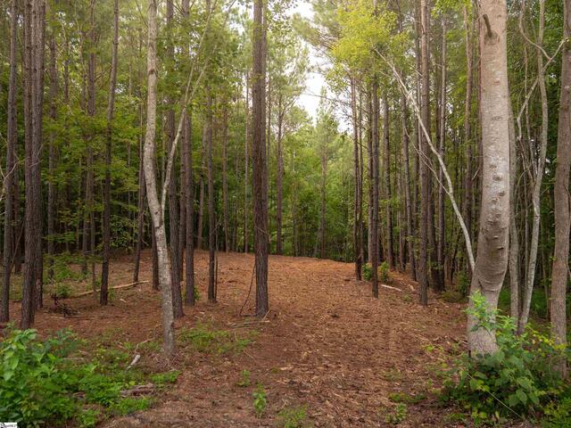 Photo of 02 Neal Shoals Road